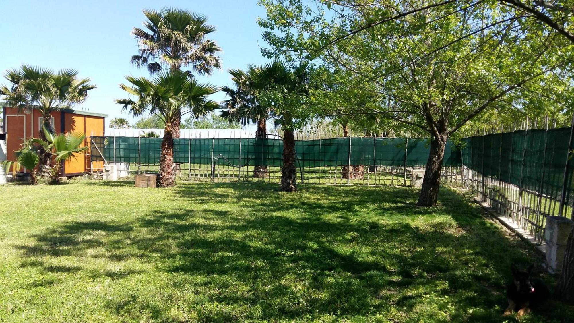 Villa Luna A Pochi Passi Dalla Spiaggia Avola Dış mekan fotoğraf